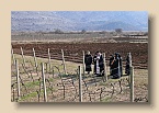 P1010317 (Medium)